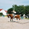 Fahne auf Jack